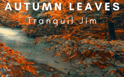 Autumn Leaves Falling Into The Pond At Sunset