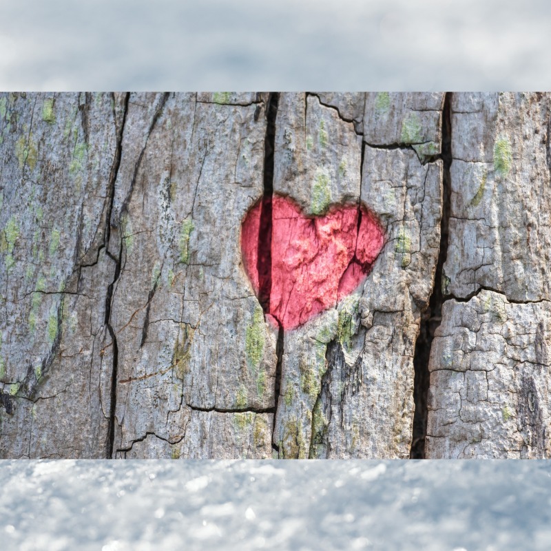 Cover art for the title ‘thought u luved me’ by Gator Z.