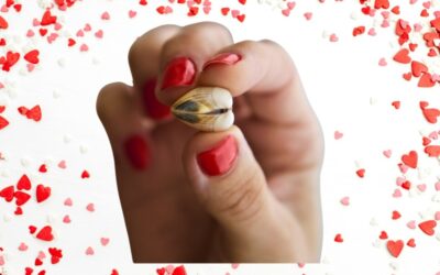 we were meant to be, but I guess not — Gator Z (Single)